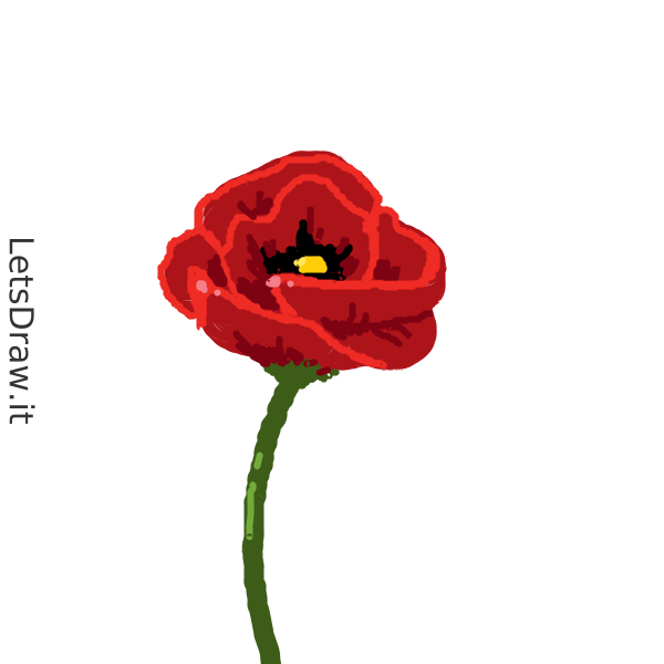 Drawf Poppy How to draw poppy / wtz6tynen.png / LetsDrawIt