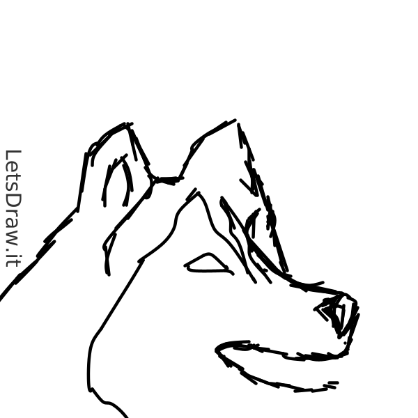 How to draw dog / Learn to draw from other LetsdrawIt players