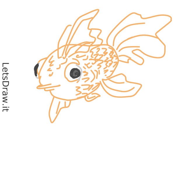 Fish Drawing In Computer How to draw fish / xbwbgknek.png / LetsDrawIt