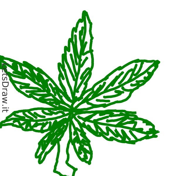How to draw marijuana / LetsDrawIt