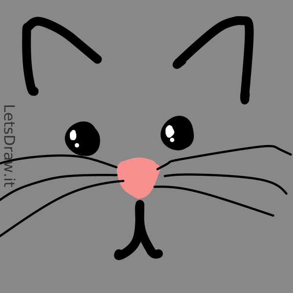 How To Draw Cat Whiskers Letsdrawit 