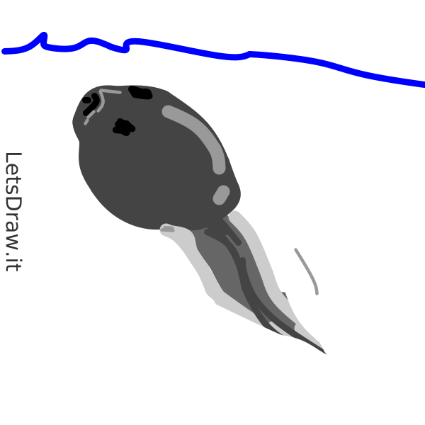 How to draw tadpole / xoxhdr8m6.png / LetsDrawIt