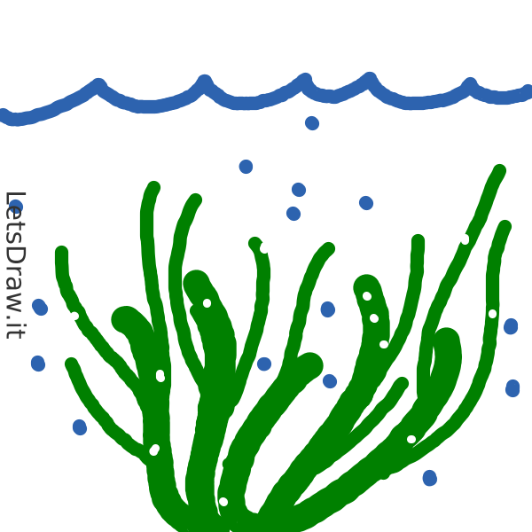 How to draw seaweed / xrhueh8am.png / LetsDrawIt