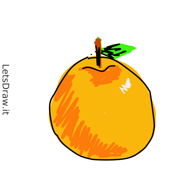 How to draw tangerine / y47cctikh.png / LetsDrawIt