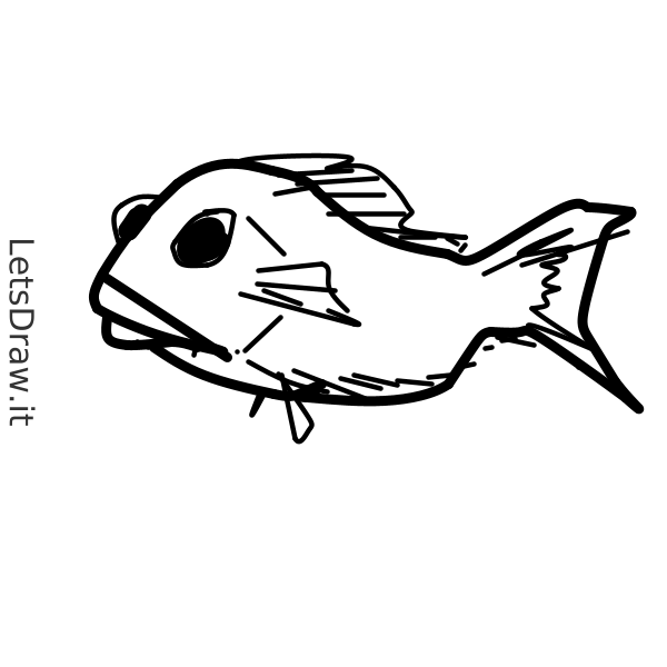 Easy Fish Drawing - PRB ARTS-saigonsouth.com.vn