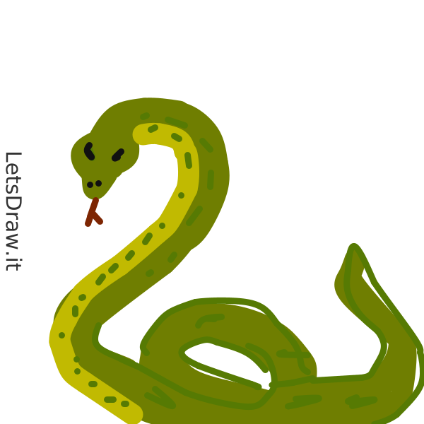 How to draw anaconda / yi9ue3rqh.png / LetsDrawIt