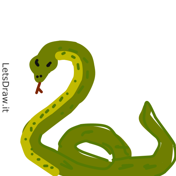 How to draw Anaconda / yi9ue3rqh.png / LetsDrawIt