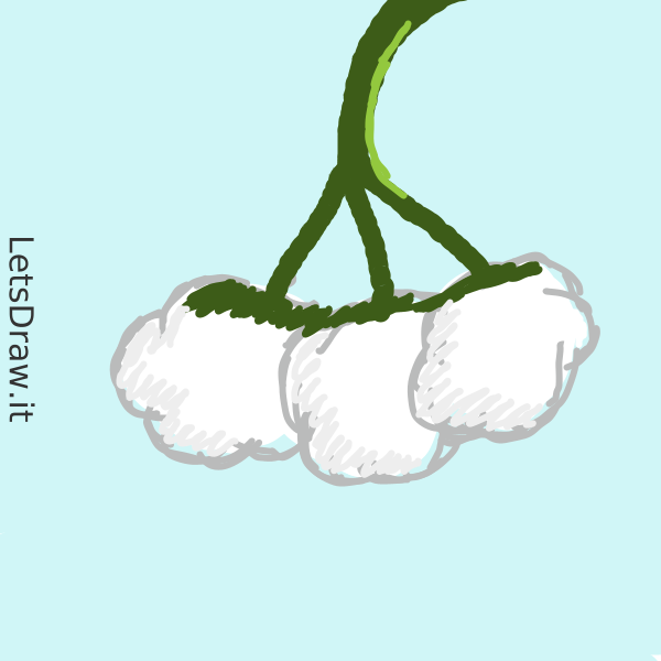 How to draw cotton / yr5ex1ere.png / LetsDrawIt
