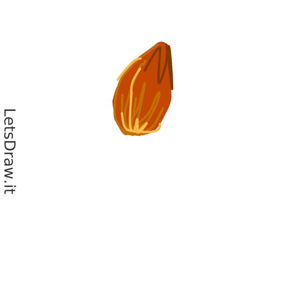 How to draw Almond / LetsDrawIt