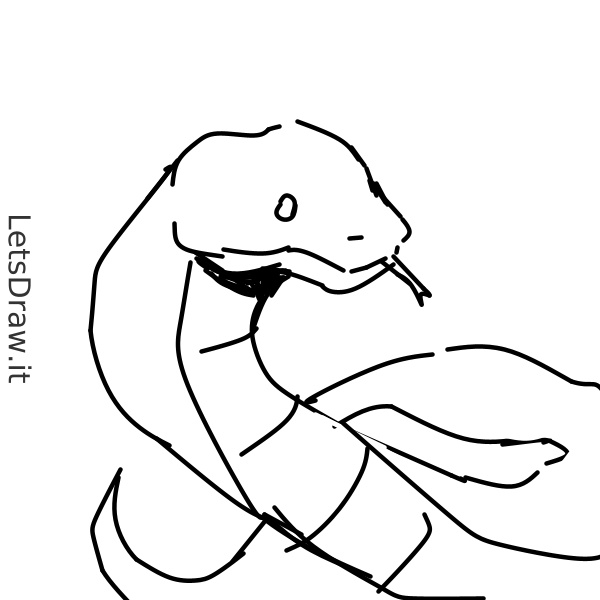 How to draw Anaconda / z9awczbhj.png / LetsDrawIt