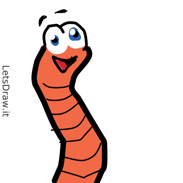 How to draw Worms / z9fnb63b3.png / LetsDrawIt