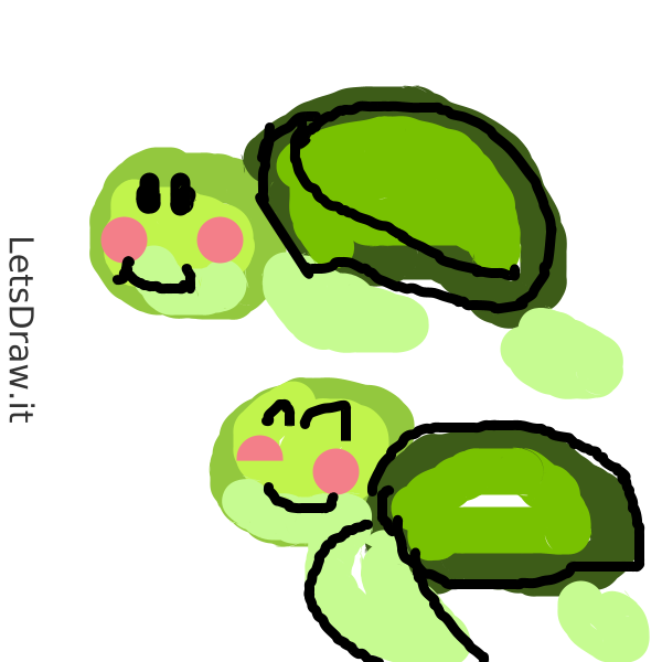How to draw turtles / zckbqb1ik.png / LetsDrawIt