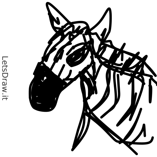 how-to-draw-zebra-zk4pf9wqn-png-letsdrawit