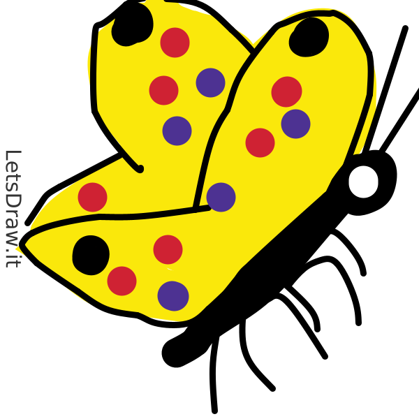 How To Draw Butterfly Zk Axyqu Png Letsdrawit