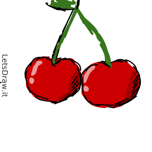 How to draw cherries / zwd3djmqo.png / LetsDrawIt